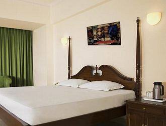 Hotel Mascot Inn, Unnao 2